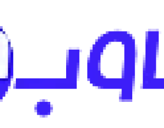 کارآموز سئو در دوناوب – یاد بگیر، تجربه کن، رشد کن