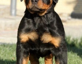 717b8eaffa76da96e2bca8a1f1b3d6f1 - Copy