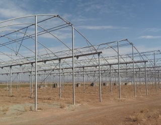 IMG_20251017_143551_116