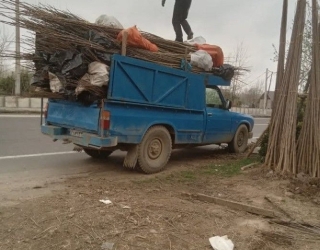 IMG_20251123_180203_320