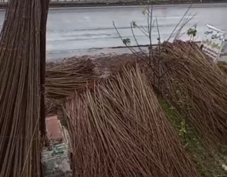 IMG_20251123_180203_472