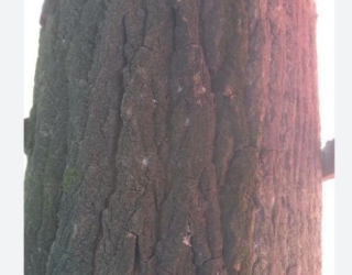 IMG_20251123_193201_902