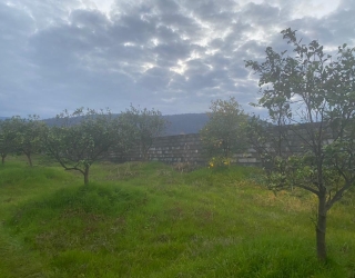 0374b4ad-fd23-4682-8077-d04c8c19a10a