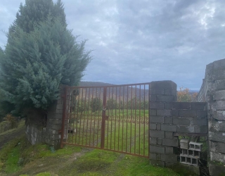 فروش فوري باغ پرتقال