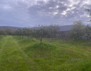 b72f66cd-1d90-4982-b02e-10b7ce00704b