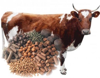 4188f362253f392fd81d47f5116db6a5