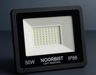 WhatsApp Image 2025-12-01 at 23.11.39_201a5329