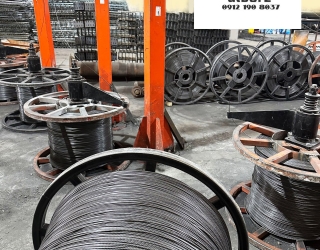 photo_2025-11-12_11-33-23