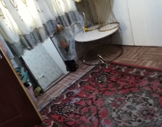 photo_2025-12-08_15-27-23