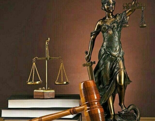 IMG_20251129_094421_487