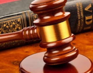 IMG_20251129_094442_886