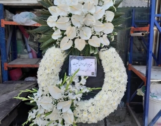 Screenshot_۲۰۲۵۱۲۰۵_۱۲۱۵۲۵_Gallery