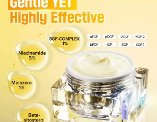 photo_2025-12-11_17-01-18