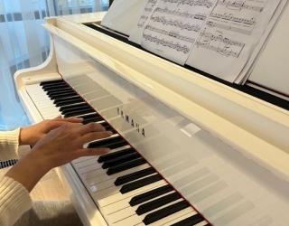 آموزش حرفه ای پیانو، سنتور، هنگ درام و خوانندگی در منزل شما، مدرس خانم