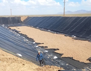 photo_2023-07-11_09-32-44