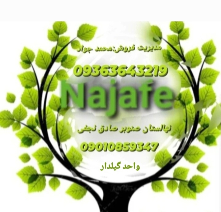 مشاور رایگان زراعت صنوبر 