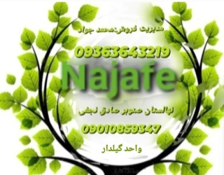 Screenshot_۲۰۲۵۱۲۰۶_۱۴۵۰۳۵_Instagram