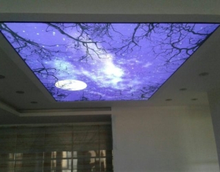 445306736_133221-533x400