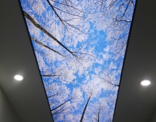 bcb22498-4d29-40bf-9231-3e3d569ed9a6