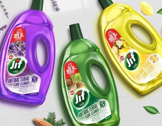 17b4a608252728d79ae7c3cc72c08066