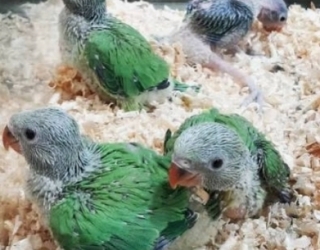 2025-12-19_at_15.13.30.020