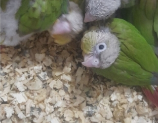 2025-12-20_at_13.33.55.444