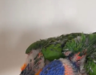 عکس دوربین گوشی۳۴۹۷۷۶۵۴۳۲e