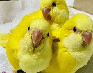 عکس دوربین گوشی۴۵۶۷۸۵۳