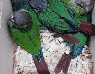 عکس دوربین گوشی ۲۴۵۶۷le