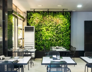 InShot_20251221_160940029