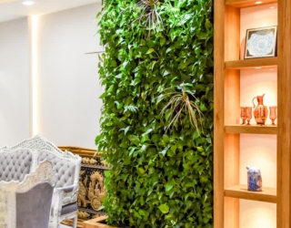 InShot_20251221_162847878