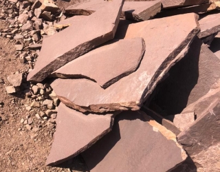 IMG_20251125_091245_202