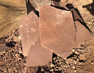 IMG_20251125_091245_566