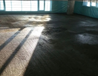 F5DBE801-4F82-44DB-8BA8-EE5A9843D667