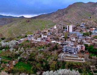 181ea463-bdbf-46c4-8998-223d8c57e277