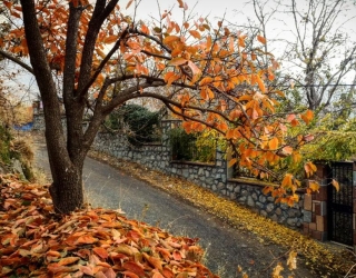 3b4320e1-ff49-4c39-a4a0-834811060a0a