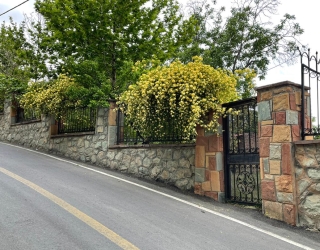 811d5a38-a36d-4fef-b89e-b311ac801570