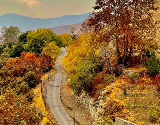 bf4970db-9aa0-4982-8cf4-63ba0ff3003e