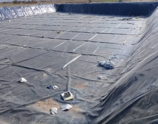 photo_2023-03-15_08-57-38