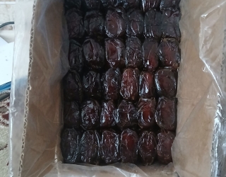 فروش خرما وعسل کوهی وروغن محلی ومحصولات ارگانیک