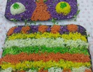 WhatsApp Image 2026-01-07 at 10.45.10 (1)