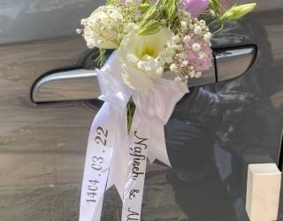 ۲۰۲۵_۰۶_۲۷_۱۱_۰۱_IMG_2197