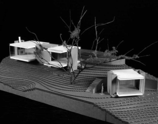 18342521_10154423776025703_6977671928914422827_n