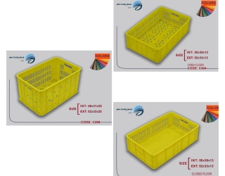 InShot_20240201_190535288