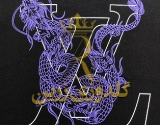 IMG_20251201_212408_290