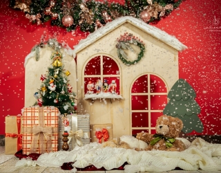 آتلیه عکاسی خانه عکس دا