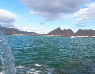 WhatsApp-Image-2022-03-12-at-16.38.49-495x400