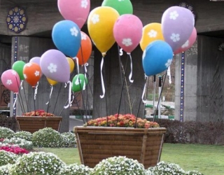 فلاورباکس های شیک شهری و منازل زرین کار