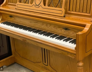 آموزش پیانو به روش ساده خصوصی در منزل هنرجو، مدرس خانم