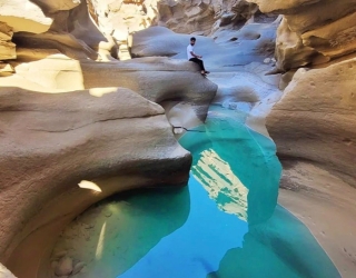 5F04D334-B04E-4B41-917B-DE70C9E5BADD